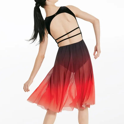 Velvet and Ombre Mesh Dress